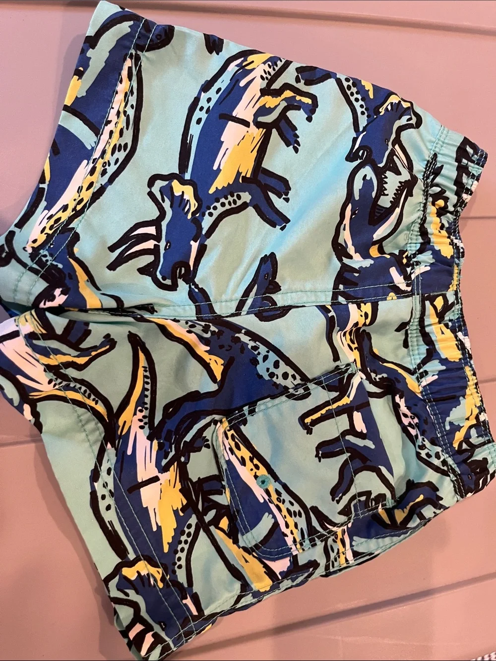 Hanna Andersson bathing suit boys size 2t